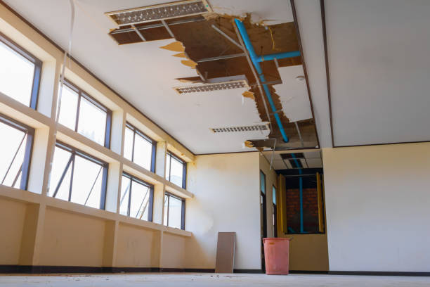 Best Basement water damage restoration  in Indian River, MI