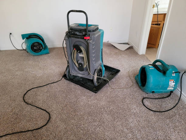 Best Water damage restoration near me  in Indian River, MI