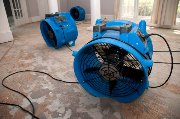 Best Ceiling water damage repair  in Indian River, MI