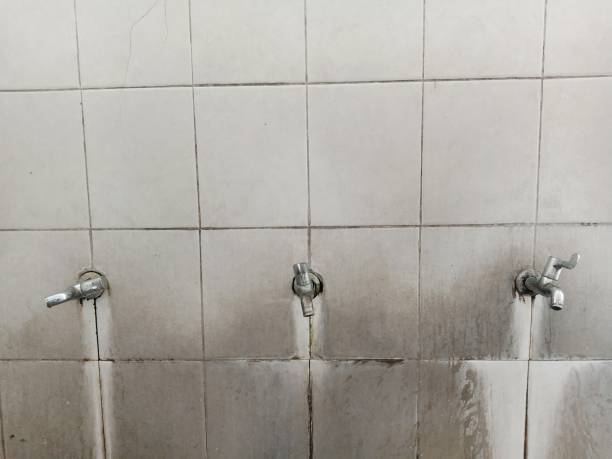 Professional Water damage restoration in Indian River, MI