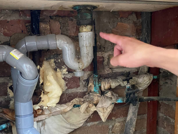 Best Fire Damage Restoration  in Indian River, MI