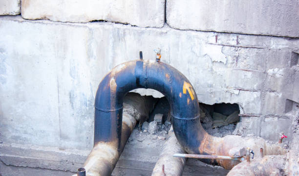 Best Professional water damage repair  in Indian River, MI