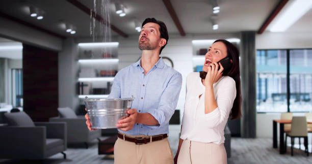 Best Water damage restoration mold remediation  in Indian River, MI